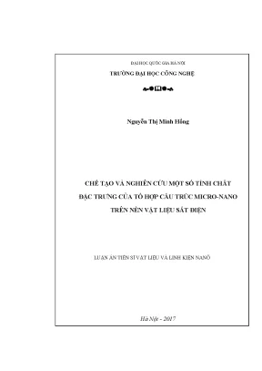 Luận án tiến sĩ chế tạo và nghiên cứu một số tính chất đặc trưng của vật liệu tổ hợp cấu trúc micro nano trên nền sắt điện luận án ts vật liệu và linh kiện nanô