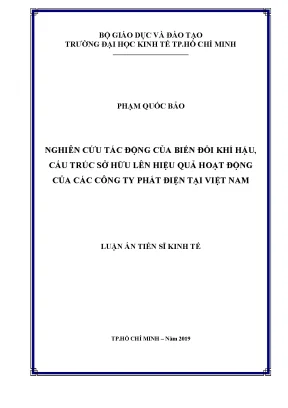 Luận văn nghiên cứu tác động của biến đổi khí hậu cấu trúc sở hữu lên hiệu quả hoạt động của các công ty phát điện tại việt nam