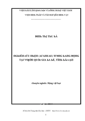 Luận văn nghiên cứu nhện araneae trong hang động tại vườn quốc gia ba bể tỉnh bắc kạn