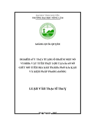 Luận văn nghiên cứu thực trạng ô nhiễm một số vi sinh vật trên thịt