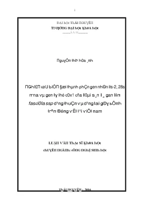 Luận văn nghiên cứu sự biến đổi thành phần gen nhân its 2 28s rrna và gen ty thể cox1 của loài sán lá gan lớn fasciola sp dạng thuần và dạng lai gây bệnh trên động vật tại việt nam