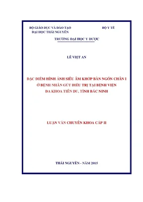 Đặc điểm hình ảnh siêu âm khớp bàn ngón chân i ở bệnh nhân gút điều trị tại bệnh viện đa khoa tiên du tỉnh bắc ninh