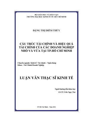 Luận văn thạc sĩ cấu trúc tài chính và hiệu quả tài chính của các doanh nghiệp nhỏ và vừa tại thành phố hồ chí minh luận văn thạc sĩ