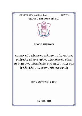 Luận án tiến sĩ y học nghiên cứu tác dụng giảm đau của phương pháp gây tê mặt phẳng cân cơ dựng sống dưới hướng dẫn siêu âm cho phẫu thuật tim ít xâm lấn qua đường mở ngực phải