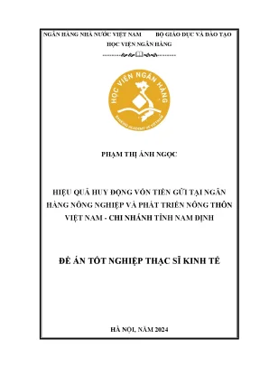 Luận văn thạc sĩ tài chính ngân hàng hiệu quả huy động vốn tiền gửi tại ngân hàng nông nghiệp và phát triển nông thôn việt nam chi nhánh tỉnh nam định
