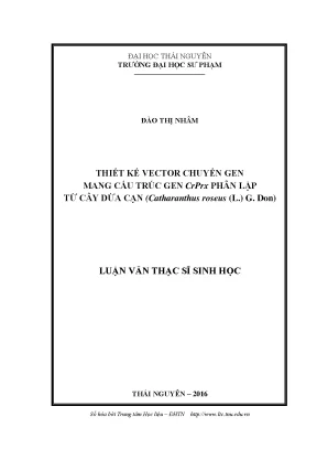 Luận văn thiết kế vector chuyển gen mang cấu trúc gen crprx phân lập từ cây dừa cạn catharanthus roseus l g don