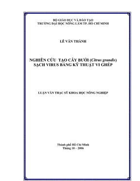 Luận văn thạc sĩ trồng trọt nghiên cứu tạo cây bưởi citrus grandis sạch virus bằng kỹ thuật vi ghép