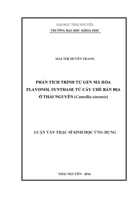 Luận văn phân tích trình tự gen mã hóa flavonol synthase từ cây chè bản địa ở thái nguyên