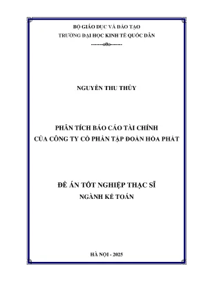 Luận văn thạc sĩ kế toán phân tích bctc của công ty cổ phần tập đoàn hòa phát