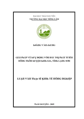 Luận văn giải pháp về huy động vốn đầu tư phát triển nông thôn huyện bình gia tỉnh lạng sơn