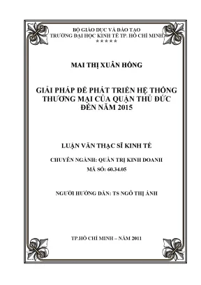 Luận văn giải pháp để phát triển hệ thống thương mại của quận thủ đức đến năm 2015 luận văn thạc sĩ