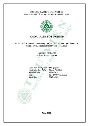 Hiệu quả kinh doanh hoạt động lữ hành tại công ty tnhh du lịch giấc mơ việt hà nội