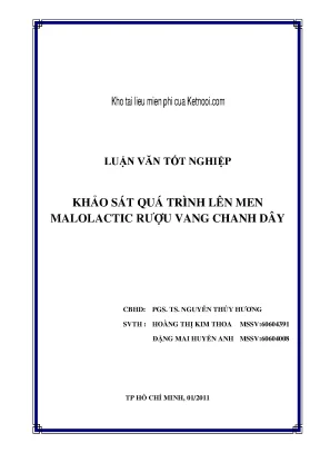 Men malolacticfileminimizer