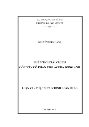 Luận văn thạc sĩ phân tích tài chính công ty cổ phần viglacera đông anh