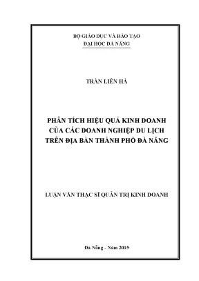 Luận văn phân tích hiệu quả kinh doanh của các doanh nghiệp du lịch trên địa bàn thành phố đà nẵng