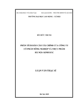 Luận văn thạc sĩ kế toán phân tích báo cáo tài chính của công ty cổ phần nông nghiệp và thực phẩm hà nội kinh bắc