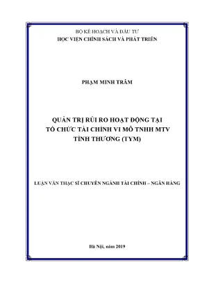 Luận văn quản trị rủi ro hoạt động tại tổ chức tài chính vi mô tnhh mtv tình thương