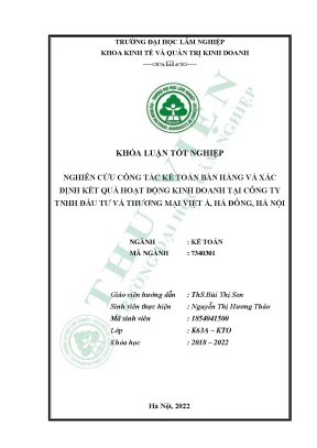 Nghiên cứu công tác kế toán bán hàng và xác định kết quả hoạt động kinh doanh tại công ty tnhh đầu tư và thương mại việt á hà đông hà nội