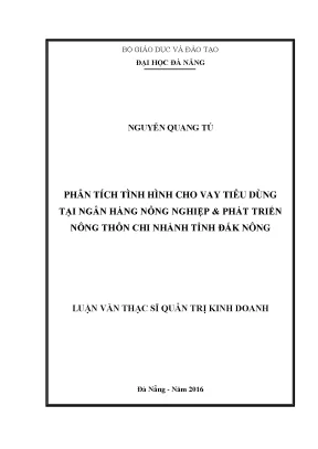 Luận văn phân tích tình hình cho vay tiêu dùng tại ngân hàng nnptnt chi nhánh tỉnh đăk nông