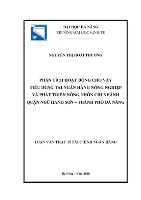 Luận văn phân tích hoạt động cho vay tiêu dùng tại ngân hàng nông nghiệp và phát triển nông thôn chi nhánh quận ngũ hành sơn thành phố đà nẵng