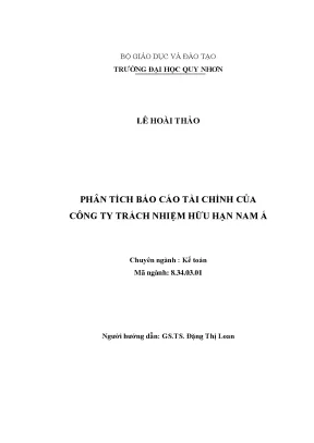Luận văn phân tích báo cáo tài chính của công ty trách nhiệm hữu hạn nam á