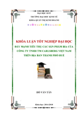 Đẩy mạnh tiêu thụ các sản phẩm bia của công ty tnhh tm carlsberg việt nam trên địa bàn thành phố huế