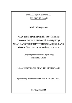 Luận văn phân tích tình hình rủi ro tín dụng trong cho vay trung và dài hạn tại ngân hàng tmcp phát triển nhà đồng bằng sông cửu long chi nhánh đắk lắk