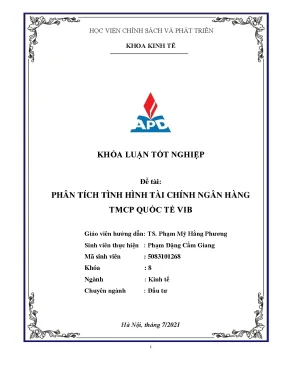 Luận văn phân tích tình hình tài chính ngân hàng tmcp quốc tế vib