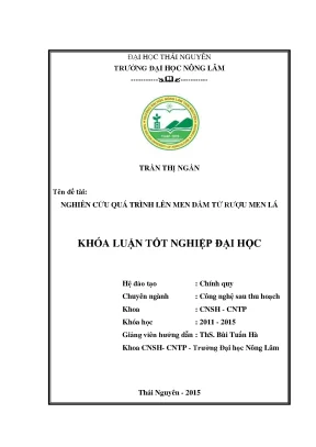 Luận văn nghiên cứu quá trình lên men dấm từ rượu men lá