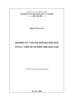 Luận văn thạc sĩ nghiên cứu tạo cây ngô chuyển gen dreb2 liên quan đến tính chịu hạn vnu lvts09