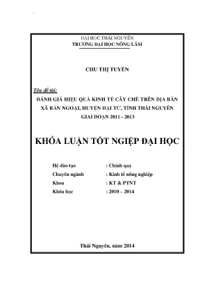 Luận văn đánh giá hiệu quả kinh tế cây chè trên địa bàn xã bản ngoại huyện đại từ tỉnh thái nguyên giai đoạn 2011 2013