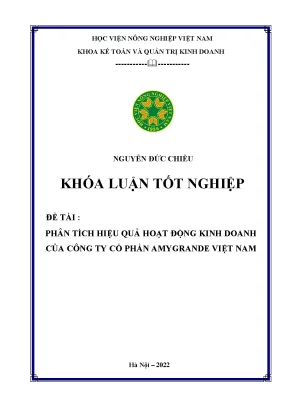 Phân tích hiệu quả hoạt động kinh doanh của công ty cổ phần amygrande việt nam