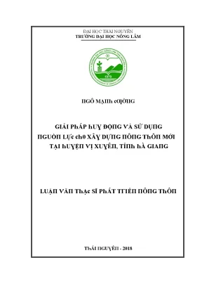 Luận văn giải pháp huy động và sử dụng nguồn lực cho xây dựng nông thôn mới tại huyện vị xuyên tỉnh hà giang