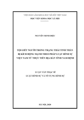 Luận văn tội giết người trong trạng thái tinh thần bị kích động mạnh theo pháp luật hình sự việt nam từ thực tiễn địa bàn tỉnh nam định