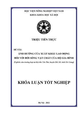 Ảnh hưởng của xuất khẩu lao động đối với đời sống vật chất của hộ gia đình nghiên cứu trường hợp tại thị trấn yên phú huyện bắc mê tỉnh hà giang