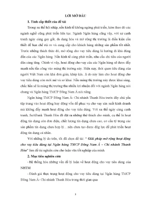 Giải pháp mở rộng hoạt động cho vay tiêu dùng tại ngân hàng tmcp đông nam á chi nhánh thanh hóa