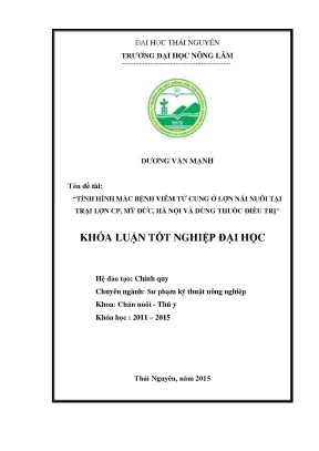 Luận văn tình hình mắc bệnh viêm tử cung ở lợn nái nuôi tại trại lợn cp mỹ đức hà nội và dùng thuốc điều trị