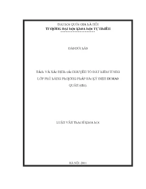 Luận văn thạc sĩ tách và xác định các nguyên tố đất hiếm trong lơp phủ bằng phương pháp sắc ký điện di mao quản cec vnu lvts08w