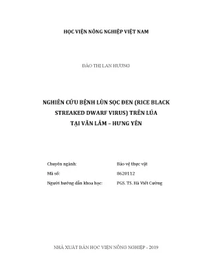 Luận văn nghiên cứu bệnh lùn sọc đen rice black streaked dwarf virus trên lúa tại văn lâm hưng yên