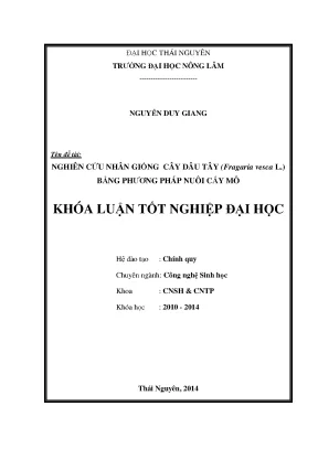 Luận văn nghiên cứu nhân giống cây dâu tây fragaria vesca l bằng phương pháp nuôi cấy mô