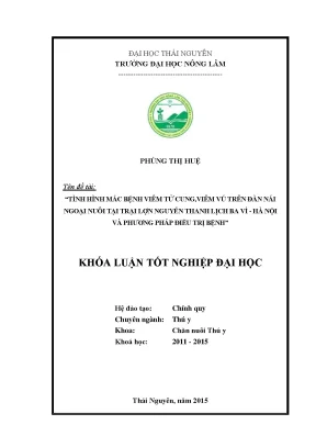 Luận văn tình hình mắc bệnh viêm tử cung viêm vú trên đàn nái ngoại nuôi tại trại lợn nguyễn thanh lịch ba vì hà nội và phương pháp điều trị bệnh