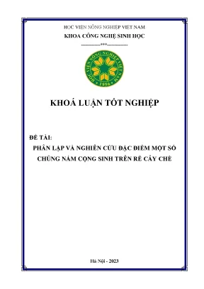 Phân lập và nghiên cứu đặc điểm một số chủng nấm cộng sinh trên rễ cây chè