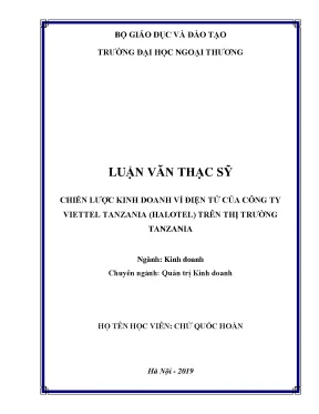 Luận văn chiến lược kinh doanh ví điện tử của công ty viettel tanzania halotel trên thị trường tanzania