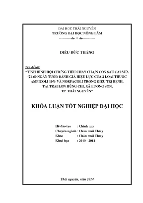 Luận văn tình hình hội chứng tiêu chảy ở lợn con sau cai sữa 21 60 ngày tuổi và đánh giá hiệu lực của 2 loại thuốc ampicoli 10 và norfacoli trong điều trị bệnh tại trại lợn hùng chi