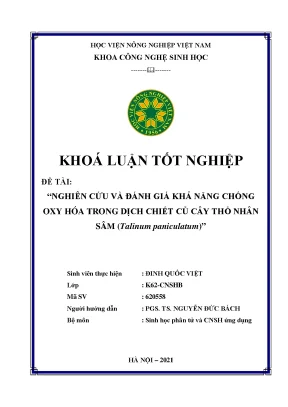 Nghiên cứu và đánh giá khả năng chống oxy hóa trong dịch chiết củ cây thổ nhân sâm talinnum paniculatum