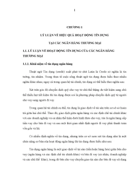 Luận văn nâng cao hiệu quả tín dụng tại các ngân hàng thương mại cổ phần trên địa bàn tp hồ chí minh