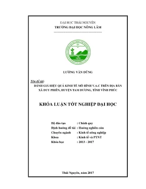 Luận văn đánh giá hiệu quả kinh tế mô hình v a c trên địa bàn xã duy phiên huyện tam dương tỉnh vĩnh phúc