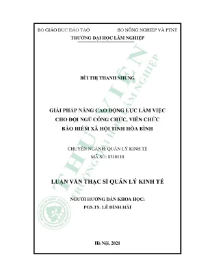 Giải pháp nâng cao động lực làm việc cho đội ngũ công chức viên chức bảo hiểm xã hội tỉnh hòa bình