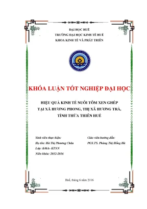 Luận văn hiệu quả kinh tế nuôi tôm xen ghép tại xã hương phong thị xã hương trà tỉnh thừa thiên huế