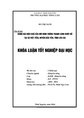Luận văn đánh giá hiệu quả của mô hình trồng thanh long ruột đỏ tại xã việt tiến huyện bảo yên tỉnh lào cai
